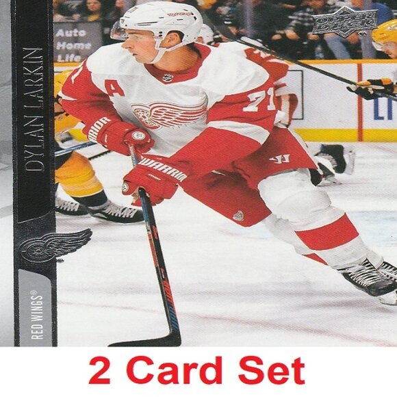 Dylan Larkin Hockey Card Collection - Picture 1 of 3